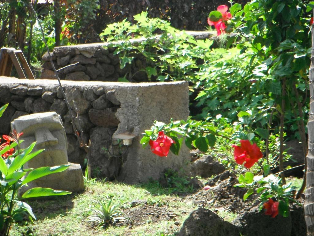 Villa Mamma Nui Glamping Hanga Roa Esterno foto